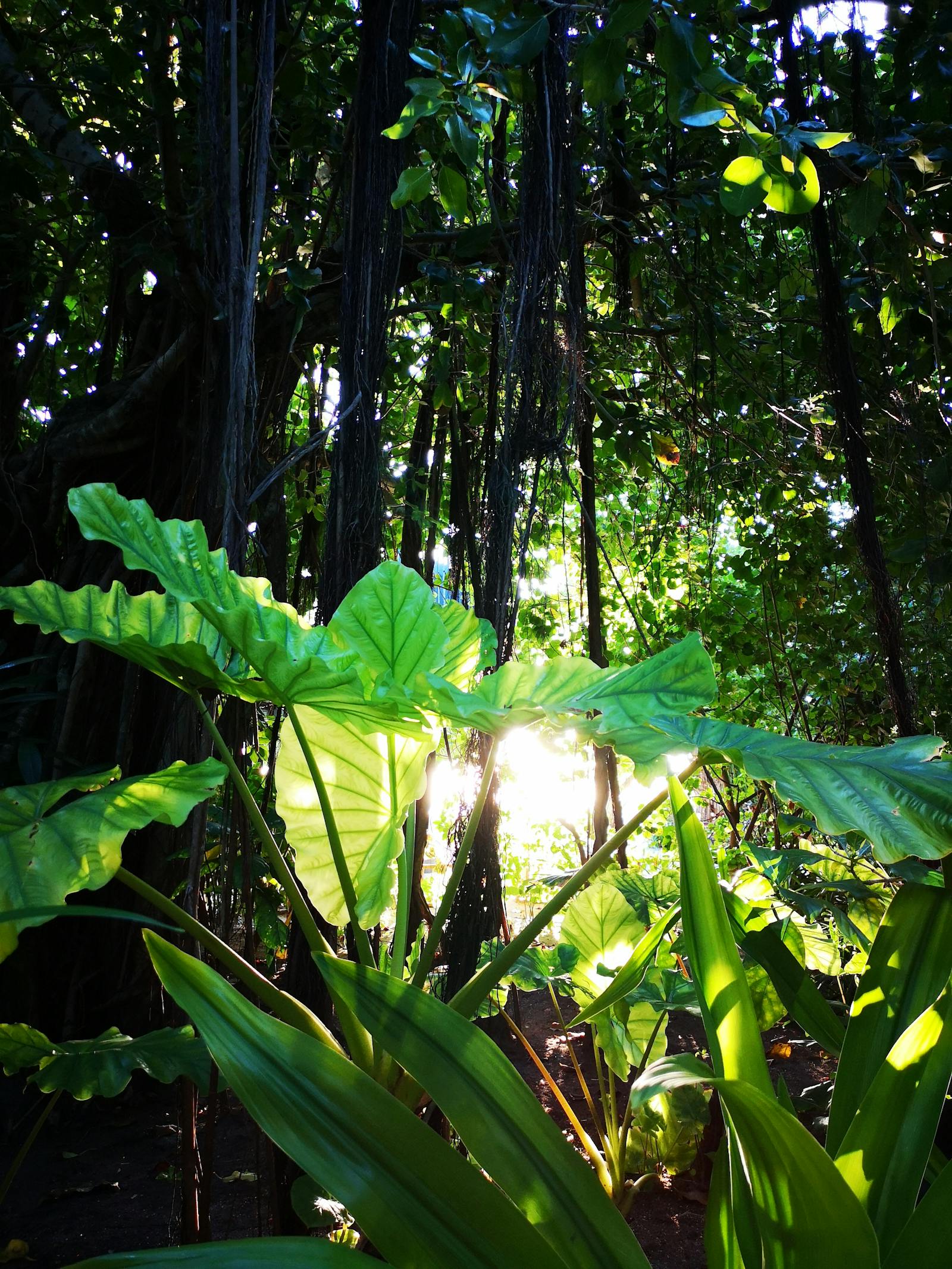 Laboratório de produtos de limpeza